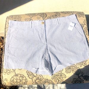 Blue and white Gap Shorts 12